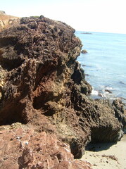 DSCF0054