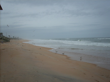 Strand1